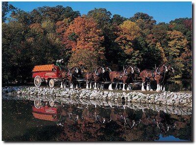 Trademark Global Clydesdales in Fall by Stone Pond Canvas Art, 14 x 19