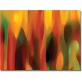 Trademark Global Amy Vangsgard Forest Sunlight Horizontal Canvas Art, 35 x 47