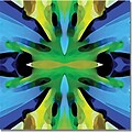 Trademark Global Amy Vangsgard Paradise Blue and Green Canvas Art, 35 x 35