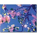 Trademark Global Amy Vangsgard Pink Flowering Canvas Art, 35 x 47