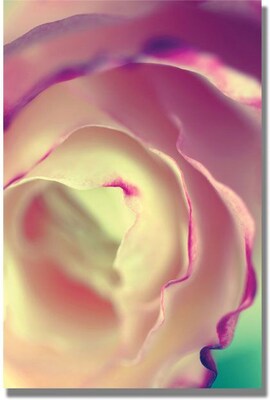 Trademark Global Beata Czyzowska Young Flavors of Summer Canvas Art, 47 x 30