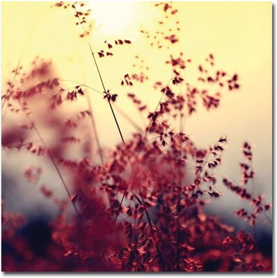 Trademark Global Beata Czyzowska Young Memories of You Canvas Art, Urban Landscape, 35 x 35