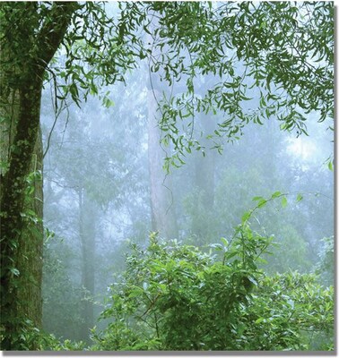 Trademark Global Beata Czyzowska Young A Walk to Remember Canvas Art, 18 x 18