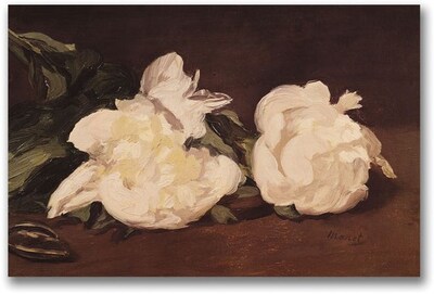 Trademark Global Eduard Manet Branch of White Peonies Canvas Art, 35 x 47