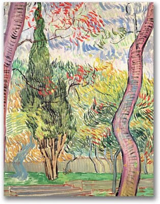 Trademark Global Vincent Van Gogh The Garden of St. Pauls Hospital Canvas Art, 47 x 35