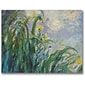 Trademark Global Claude Monet "The Yellow Iris" Canvas Art, 24" x 32"