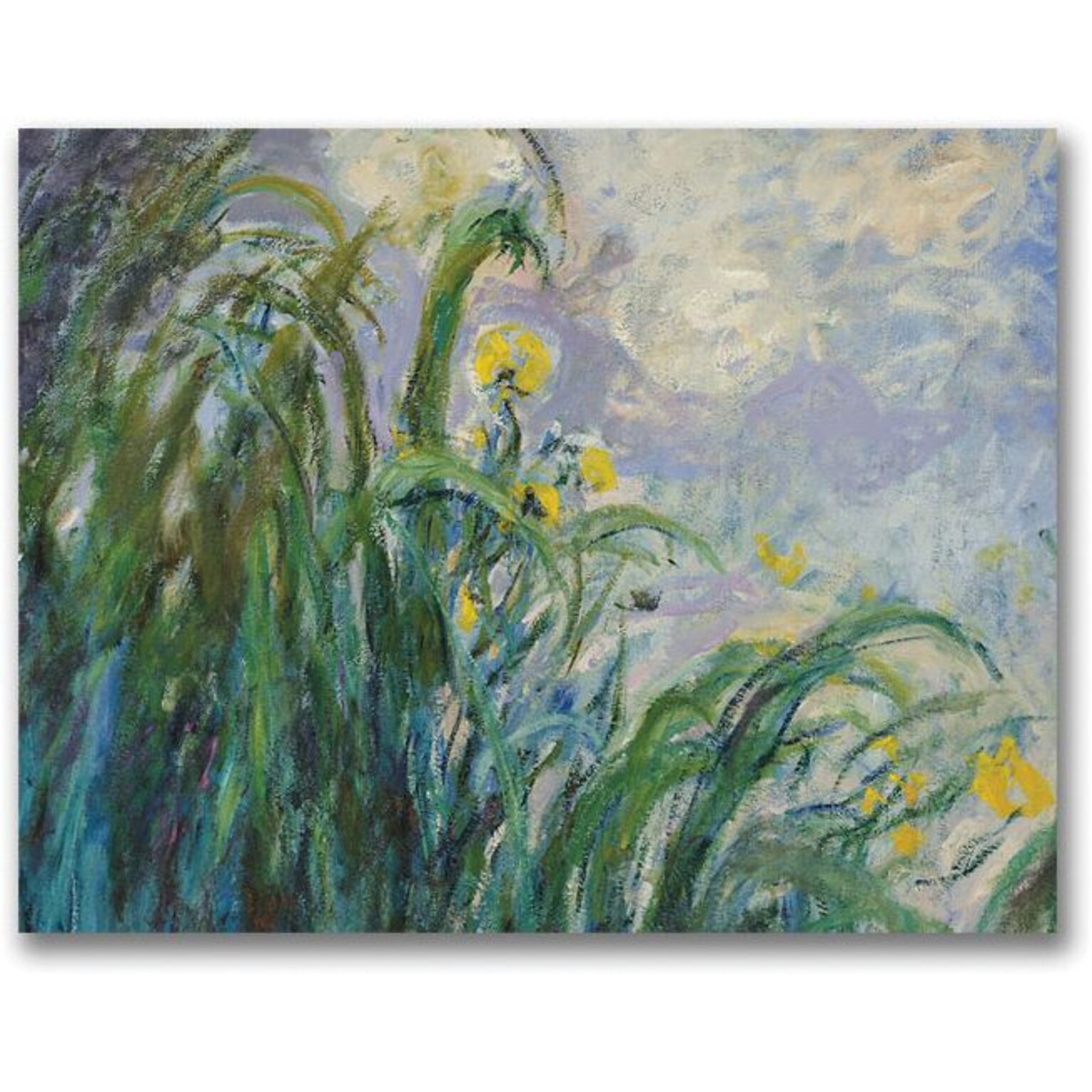 Trademark Global Claude Monet The Yellow Iris Canvas Art, 24 x 32