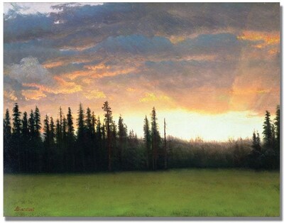 Trademark Global Albert Biersdant California Sunset II Canvas Art, 35 x 47