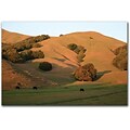 Trademark Global Colleen Proppe Red Hills Flanders Canvas Art, 14 x 19