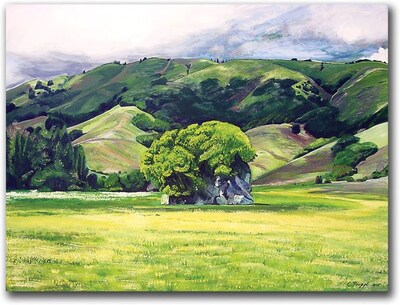 Trademark Global Colleen Proppe Spirit Rock Canvas Art, 18 x 24