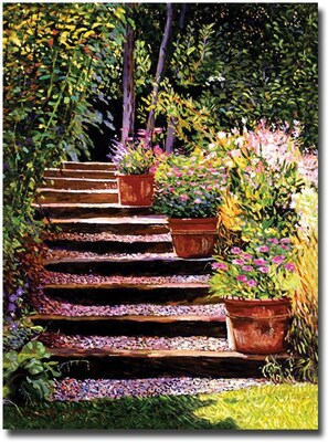 Trademark Global David Glover Pink Daisies Wooden Steps Canvas Art, 32 x 24
