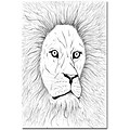 Trademark Global Joe Dragunas Lion Canvas Art, 24 x 18