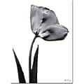 Trademark Global Kathie McCurdy Tulip Canvas Art, 24 x 18