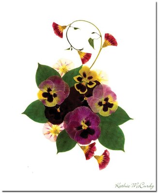 Trademark Global Kathie McCurdy Frivolity Canvas Art, 32 x 26