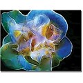 Trademark Global Kathie McCurdy Big Blue Flower Canvas Art, 18 x 24