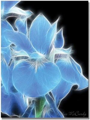 Trademark Global Kathie McCurdy Big Blue Iris Canvas Art, 24 x 18