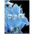 Trademark Global Kathie McCurdy Big Blue Iris Canvas Art, 24 x 18