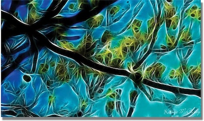 Trademark Global Kathie McCurdy Tree Branches Canvas Art, 24 x 47