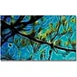 Trademark Global Kathie McCurdy "Tree Branches" Canvas Art, 24" x 47"