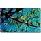 Trademark Global Kathie McCurdy Tree Branches Canvas Art, 24 x 47