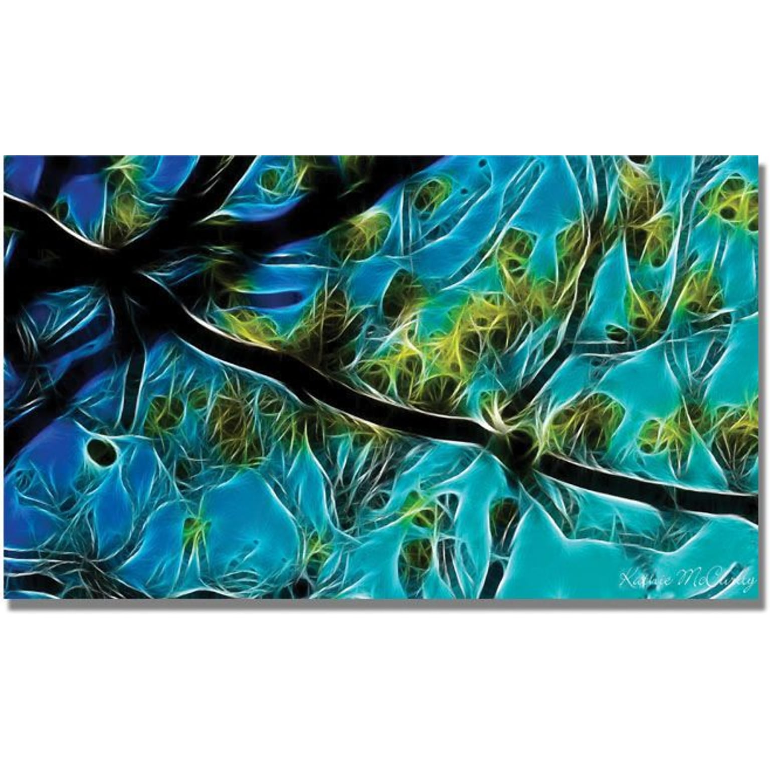 Trademark Global Kathie McCurdy Tree Branches Canvas Art, 24 x 47