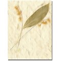 Trademark Global Kathie McCurdy Lily of the Valley Canvas Art, 47 x 35