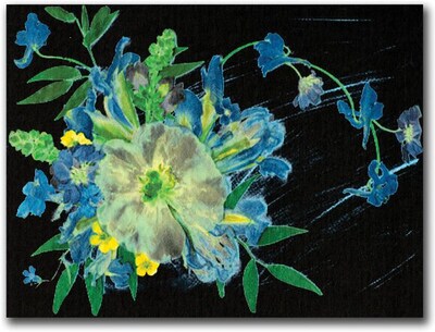 Trademark Global Kathie McCurdy Meteor Shower Canvas Art, 18 x 24