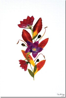 Trademark Global Kathie McCurdy Flame Canvas Art, 24 x 16