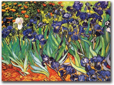 Trademark Global Vincent Van Gogh Irises Saint-Remy Canvas Art, 14 x 19