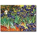 Trademark Global Vincent Van Gogh Irises Saint-Remy Canvas Art, 35 x 47
