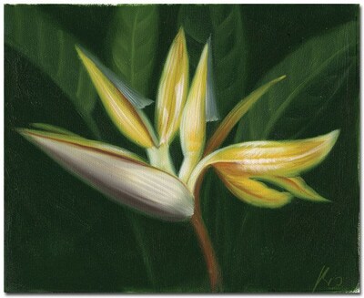 Trademark Global Lilies Canvas Art, 26 x 32