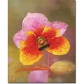 Trademark Global Orange-Pink Orchid Canvas Art, 19 x 14