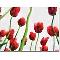 Trademark Global Michelle Calkins Red Tulips from Bottom Up III Canvas Art, 18 x 24
