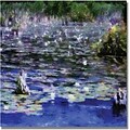 Trademark Global Michelle Calkins Water Lilies in the River Canvas Art, 18 x 18