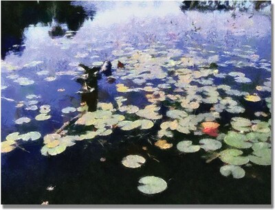 Trademark Global Michelle Calkins Water Lilies in the River II Canvas Art, 35 x 47