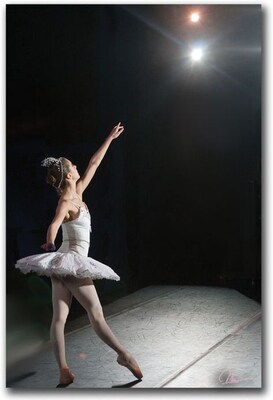 Trademark Global Miguel Paredes Ballerina Canvas Art, 24 x 16