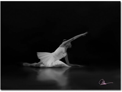 Trademark Global Miguel Paredes Dancer III Canvas Art, 16 x 24