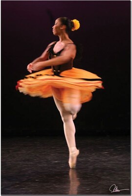 Trademark Global Martha Guerra Ballerina Canvas Art, 24 x 16 (MG029-C1624GG)