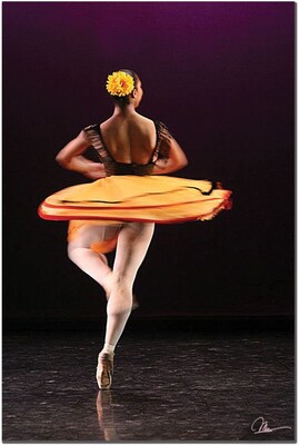 Trademark Global Martha Guerra Ballerina II Canvas Art, 24 x 16