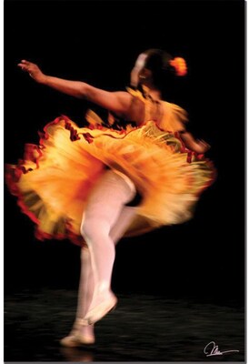 Trademark Global Martha Guerra In Motion Canvas Art, 24 x 16