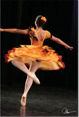 Trademark Global Martha Guerra Ballerina VI Canvas Art, 24 x 16 (MG032-C1624GG)