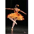 Trademark Global Martha Guerra Ballerina VI Canvas Art, 24 x 16 (MG032-C1624GG)