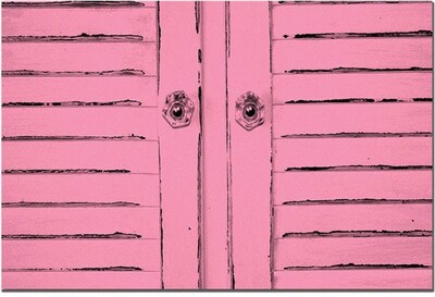Trademark Global Patty Tuggle Hot Pink Shabby Chick Canvas Art, 16 x 24