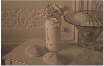Trademark Global Patty Tuggle Roses and Shells Canvas Art, 16 x 24