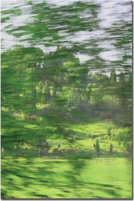 Trademark Global Patty Tuggle A Look Beyond Canvas Art, 24 x 16