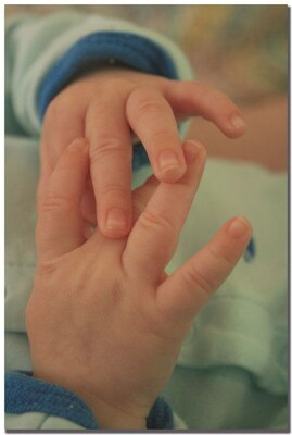 Trademark Global Patty Tuggle Baby Boy Hands Canvas Art, 24 x 16