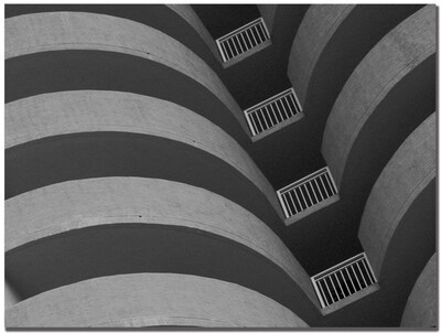Trademark Global Patty Tuggle Curves Black and White Canvas Art, 18 x 24