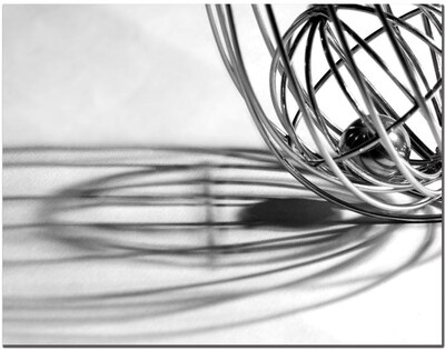 Trademark Global Tammy Davison Whisk Canvas Art, 35 x 47