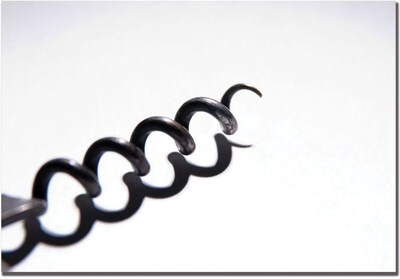 Trademark Global Tammy Davison Corkscrew Canvas Art, 14 x 19