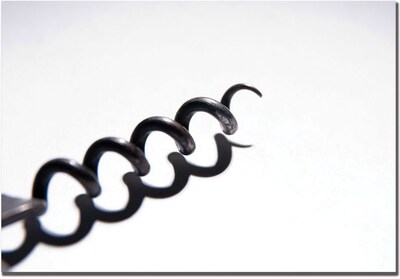 Trademark Global Tammy Davison Corkscrew Canvas Art, 16 x 24
